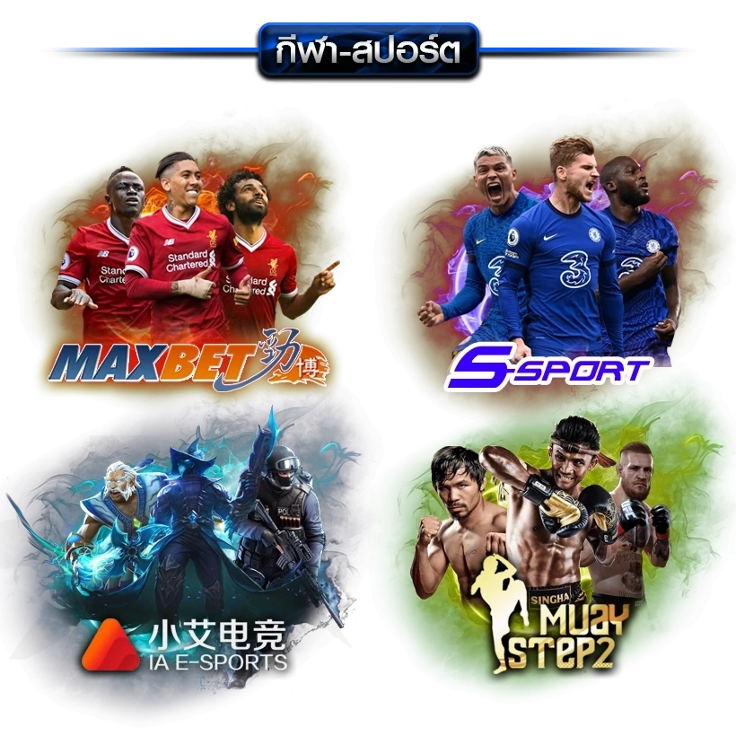  area511 banner-sport